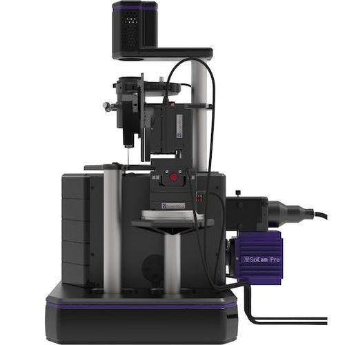 Optisches Mikroskop - PatchScope Pro 2000 - Scientifica - Neurowissenschaften / Invers / Fluoreszenz