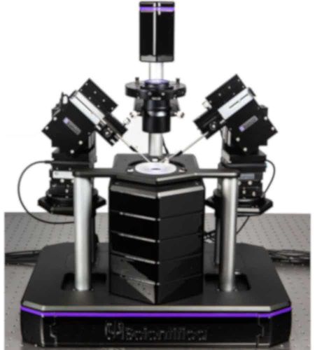 Optisches Mikroskop - PatchScope Pro 3000 - Scientifica - Neurowissenschaften / Invers / Fluoreszenz