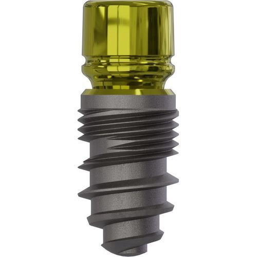 Zylindrisches Zahnimplantat - Champions (R)Evolution® - Champions-Implants - Titan / mit Innenverbindung / gerade