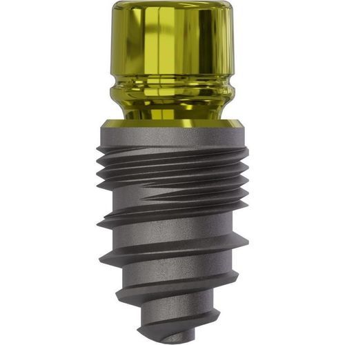 Konisches Zahnimplantat - Champions (R)Evolution® - Champions-Implants - Titan / mit Innenverbindung / gerade
