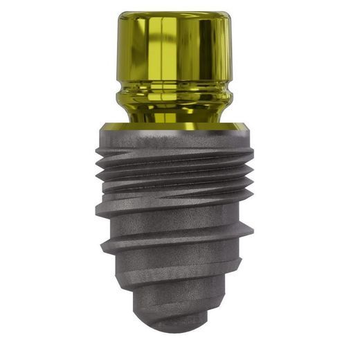 Konisches Zahnimplantat - Champions (R)Evolution® - Champions-Implants - Titan / mit Innenverbindung / gerade