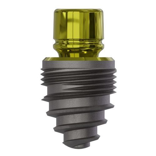 Konisches Zahnimplantat - Champions (R)Evolution® - Champions-Implants - Titan / mit Innenverbindung / gerade