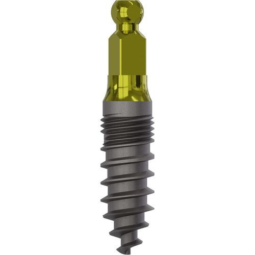 Konisches Zahnimplantat - 1905 - Champions-Implants - Titan / Kugel / Schrauben