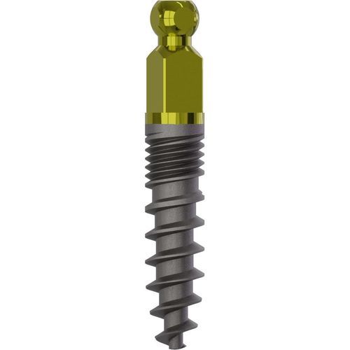 Konisches Zahnimplantat - 1900 - Champions-Implants - Titan / Kugel / Schrauben