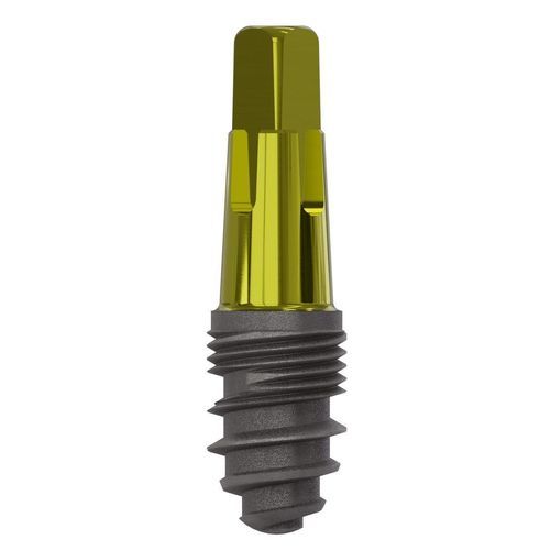 Zylindrisches Zahnimplantat - 0902 - Champions-Implants - Titan / quadratisch / gerade