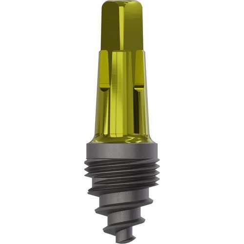 Konisches Zahnimplantat - New Art - Champions-Implants - Titan / quadratisch / gerade
