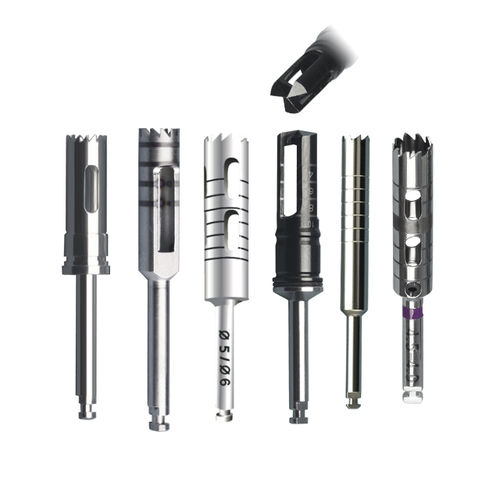 Hochtemperaturbeständige Schleimhautstanze - L03.000.350 - Shanghai LZQ Precision Tool - hoch-verschleißfest