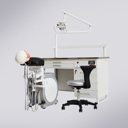 Patientensimulator für die Ausbildung - T. MASTER - Foshan Cingol Medical Instrument Co.,Ltd - für Zahnbehandlung / Kopf