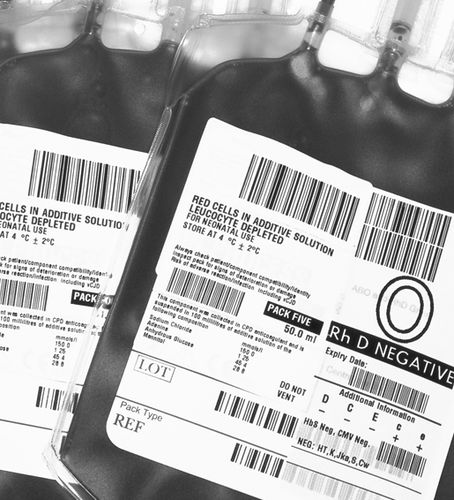 Managementsystem für Blutbanken - TDBloodBank - TECHNIDATA - Patientendaten / Information / Rückverfolgbarkeit