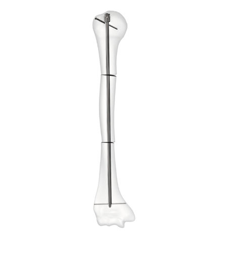 Marknagel / Humerus - D-Scope - Peditst - Edelstahl