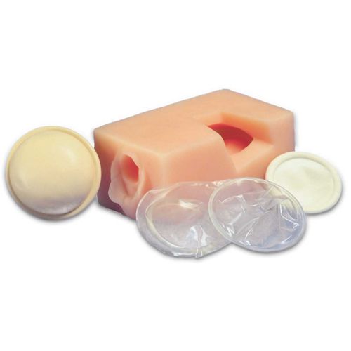 Anatomisches Modell / für weibliche Verhütungsmittel - 26462 - Health Edco & Childbirth Graphics - Becken / Rippe / Gebärmutterhals