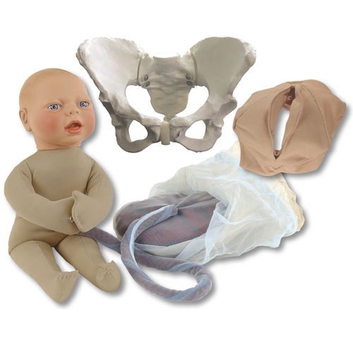 Simulator für Entbindungen - 78968 - Health Edco & Childbirth Graphics - Ausbildung / Geburtshilfe/Gynäkologie / Schwangerschaft