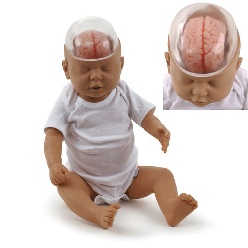 Trainingspuppe zur Sensibilisierung für das Schütteltrauma-Syndrom - 53501 - Health Edco & Childbirth Graphics - für pädiatrische Betreuung / für Vorführzwecke / Baby