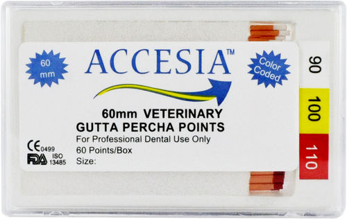 Guttaperchastift für Veterinär-Zahnmedizin - 06-04-005 - Accesia