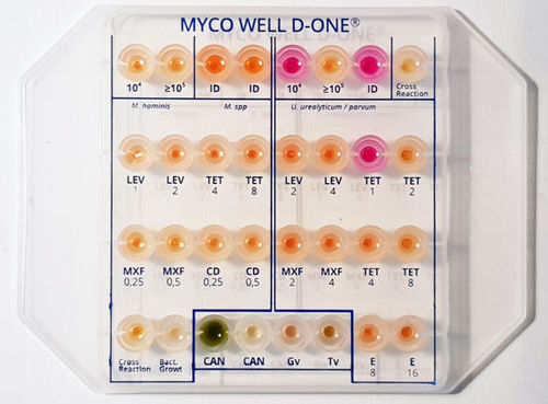 Testkit / Empfindlichkeit gegenüber antimikrobiellen Mitteln - MS01283 - CPM SAS - für Identifikationsanalyse / Mycoplasma / Gardnerella vaginalis