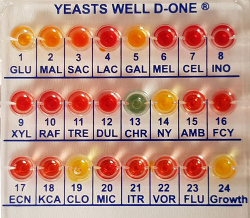Testkit für Identifikationsanalyse - MS01289 - CPM SAS