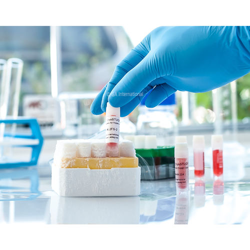 Etikett für Kryoröhrchen - CryoSTUCK® - GA International - für Mikrozentrifugalrohr / für Fläschchen / für Kryo-Boxen