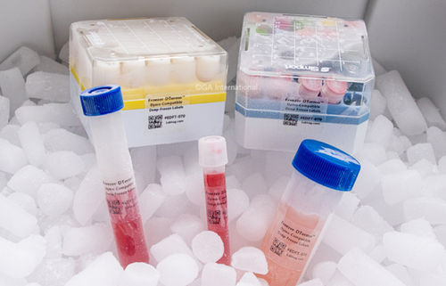 Etikett für Röhrchen - Freezer-DTermo™ - GA International - für Tiefkühlboxen / für Vorratsflaschen / für Becher