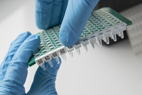Etikett für Mikroplatten - IDenti-PCR™ - GA International - hitzebeständig / für Tiefkühlkost