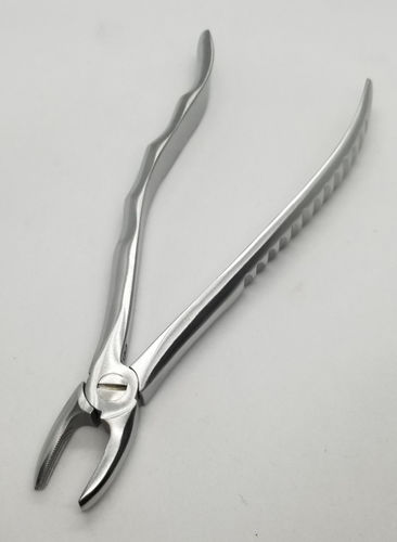 Dentale Extraktionszange / für Schneidezähne - 12-43-003 - Lorien Industries