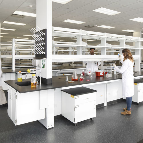 Möbelset für Arbeitsplatte im Labor - SIGMA FUSION™ - Mott Manufacturing - Labor / mit Schublade / mit Tür