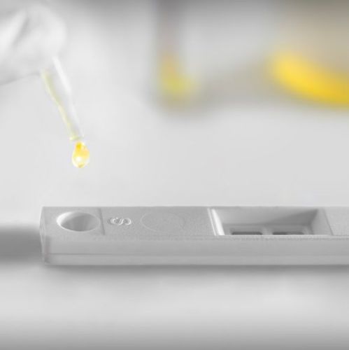 Schnelltest für Blasenkrebs - UBC® - IDL Biotech - Onkologie / Tumormarker / Urin