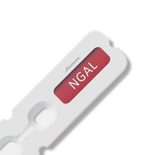 Serum-Testkit - 00020C - Beijing O&D Biotech Co., Ltd. - Plasma / Vollblut / Urin