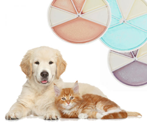 Harnwegsinformationen-Testkit - Flexicult® Vet Scandinavia  - SSI Diagnostica - für Veterinärmedizin / Bakterien / Urin