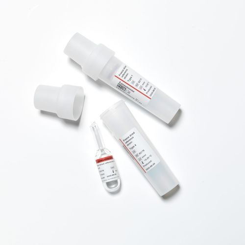 Antikörper - 82 series - SSI Diagnostica - Serum / Antiserum / für Bakterienkultur