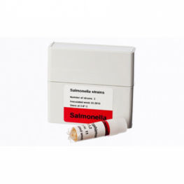 Reagenz / als Lösung - 82151  - SSI Diagnostica - für Forschungszwecke / für Bakterienkultur / Salmonella