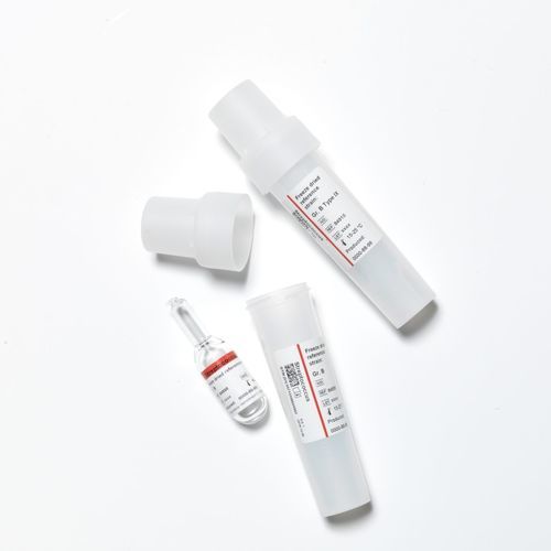 Antikörper - 84 series - SSI Diagnostica - Serum / für Forschungszwecke / gefriergetrocknet