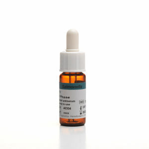 Antiserum-Reagenz - H - SSI Diagnostica - Hämagglutination / Salmonella