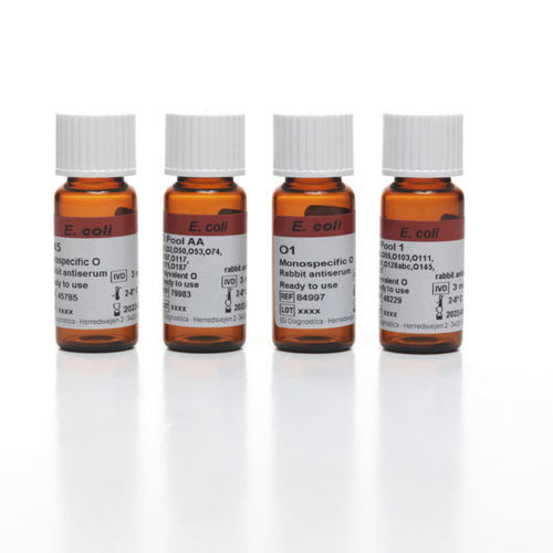 Antiserum-Reagenz - 84997 - SSI Diagnostica - polyklonaler Antikörper / Antigen / für Bakterienkultur