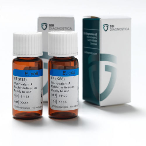 Antikörper - 51172 - SSI Diagnostica - Antiserum / Kaninchenserum / Antigen