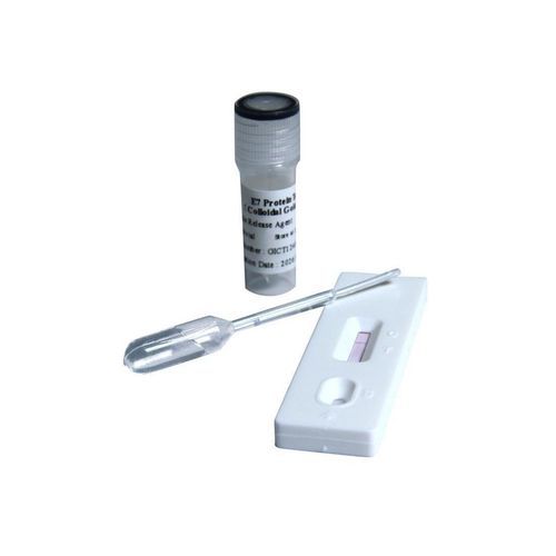 Gebärmutterhalskrebs-Schnelltest - F3026 - Cetro Medical - Gynäkologie
