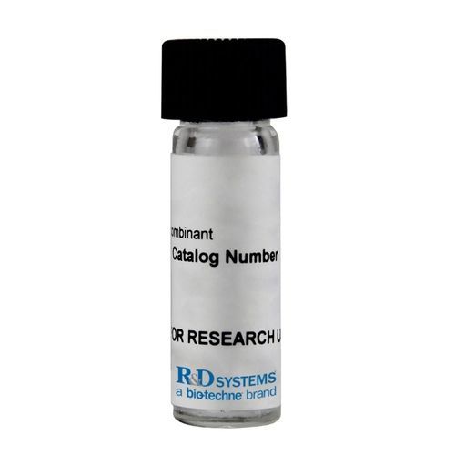 Reagenz / Aktivin A - 11348-AC series - R&D Systems - für Forschungszwecke / Gewebe / Protein