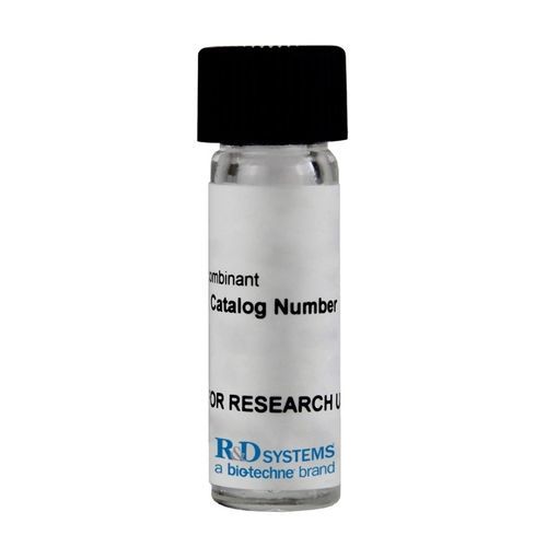 Reagenz für Forschungszwecke - 11349-IL series - R&D Systems - als Lösung / Albumin aus Rinderserum / Zytokin