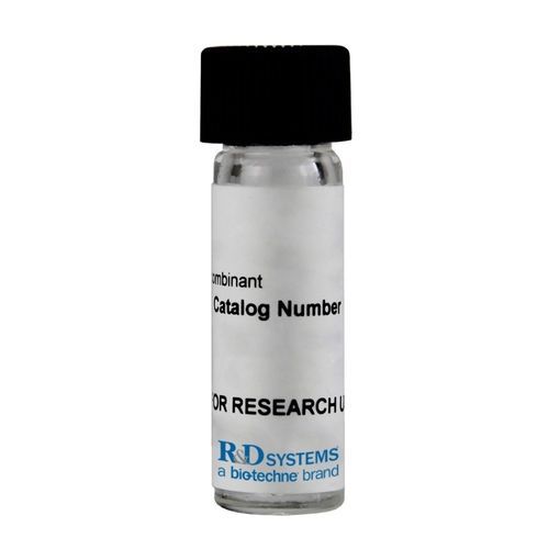 Enzyme-Reagenz - E-305 - R&D Systems - Albumin aus Rinderserum / für Forschungszwecke / Gewebe