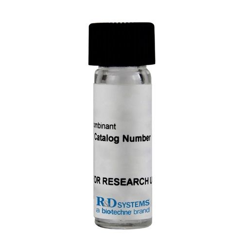 Enzyme-Reagenz - 9767-AR - R&D Systems - Albumin aus Rinderserum / für Forschungszwecke / Gewebe