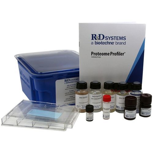 Protease Reagenzkit - ARY021B - R&D Systems - Antikörper / Gewebe / Protein