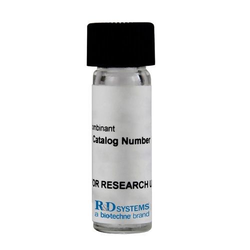 Protein-Reagenz - U-202B-050 - R&D Systems - Enzyme / Albumin aus Rinderserum / für Forschungszwecke