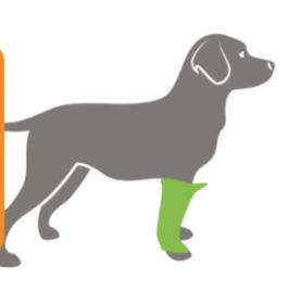 Gelenkschoner für Tiere / Ellbogenschutz - BUDDY® - QOL - Quality Of Life