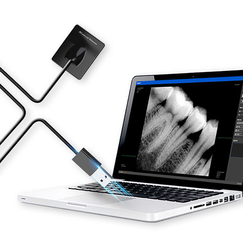 Flachbilddetektor / intraoral für zahnärztliches Röntgen - XV 100 - BLZ Technology