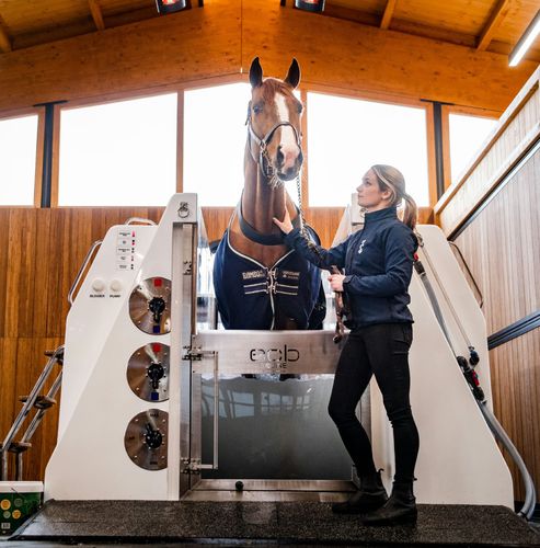 Tierspa für Pferde - ECB Equine Spa