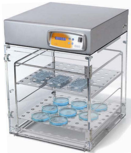 Labor-Inkubator / forcierter Luftstrom - CLEAR - OVAN - Tisch / 1 Tür / automatisch