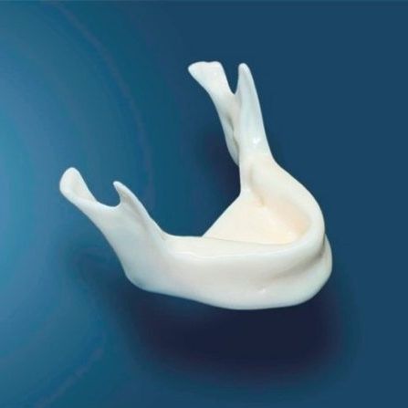 Anatomisches Modell / Unterkiefer - DOTFOX - für Implantologie / Polyurethan / weiß