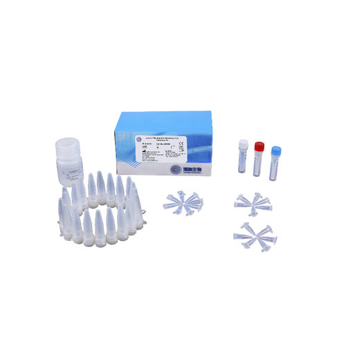 Tuberkulose-Testkit - 301031 - CapitalBio Technology - für Infektionskrankheiten / für Identifikationsanalyse / Mykobakterien