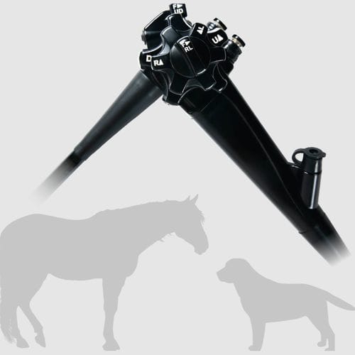 Veterinär-Gastroskop / Video - OVV-2H - MITRA Industries - für Kleintiere / für Großtiere / mit Arbeitskanal