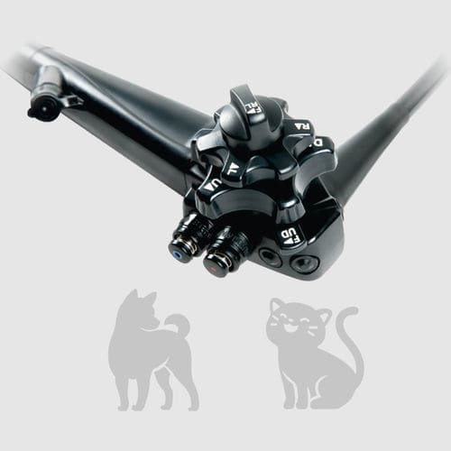 Veterinär-Gastroskop / Video - OVV-S2+ US - MITRA Industries - für Haustiere / mit Arbeitskanal