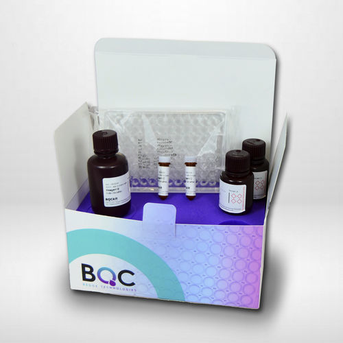 DMPD-Testkit - KF01001  - Bioquochem - oxydativer Stress / für Lebensmittel / Farbmetrik